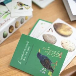 Moulin Roty Coffret Découverte Oiseaux -Moulin Roty 3