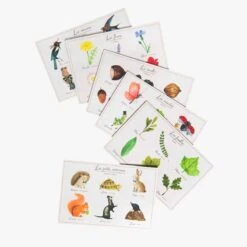 Moulin Roty Loto De La Nature 11 Moulin Roty Loto De La Nature -Moulin Roty 712387 4 gris