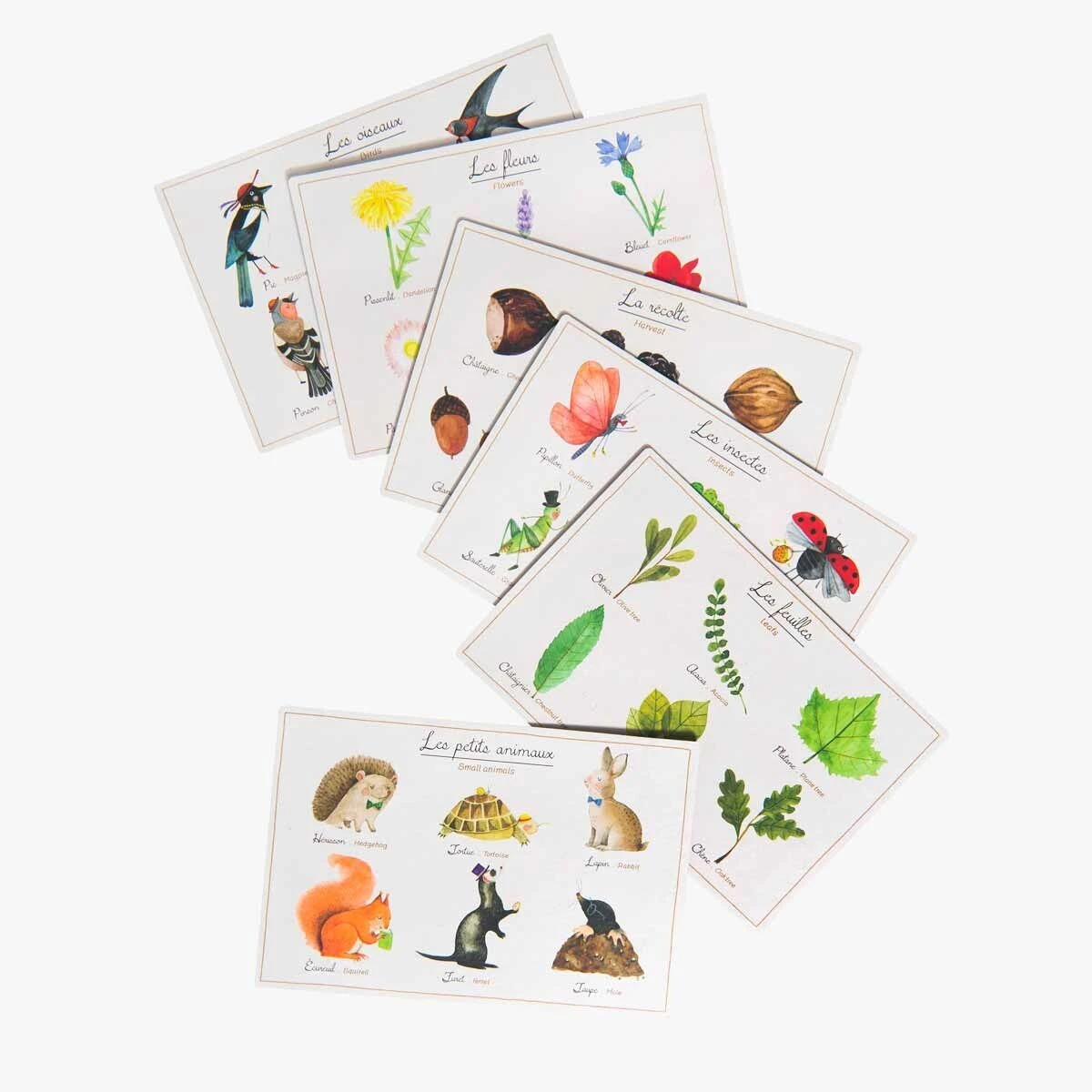 Moulin Roty Loto De La Nature 6 Moulin Roty Loto De La Nature – Image 4