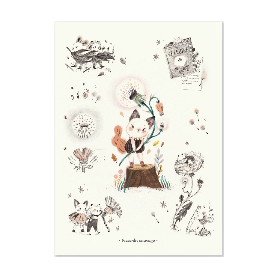 Moulin Roty Affiche Pissenlit Sauvage 50x70cm 3 Moulin Roty Affiche Pissenlit Sauvage 50x70cm