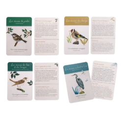 Moulin Roty Coffret Découverte Oiseaux -Moulin Roty Coffret Decouverte oiseaux Le Jardin du Moulin Moulin Roty 10