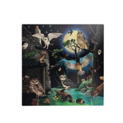 Moulin Roty Coffret Découverte Oiseaux -Moulin Roty Coffret Decouverte oiseaux Le Jardin du Moulin Moulin Roty 2