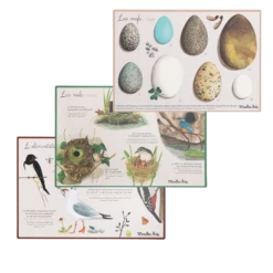 Moulin Roty Coffret Découverte Oiseaux -Moulin Roty Coffret Decouverte oiseaux Le Jardin du Moulin Moulin Roty 8