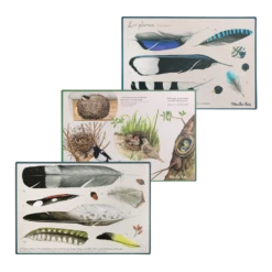 Moulin Roty Coffret Découverte Oiseaux -Moulin Roty Coffret Decouverte oiseaux Le Jardin du Moulin Moulin Roty 9